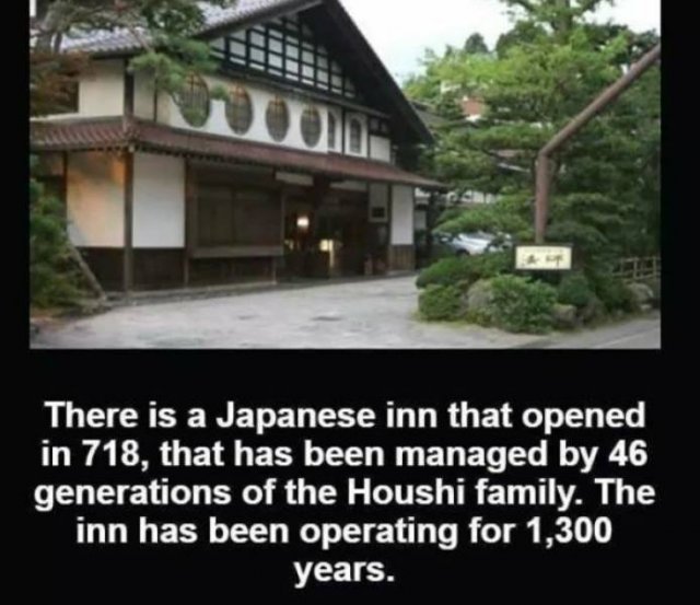 These Are Amazing! (26 pics)