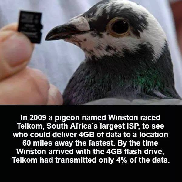These Are Amazing! (26 pics)