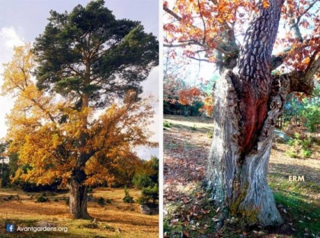 These Are Amazing! (26 pics)