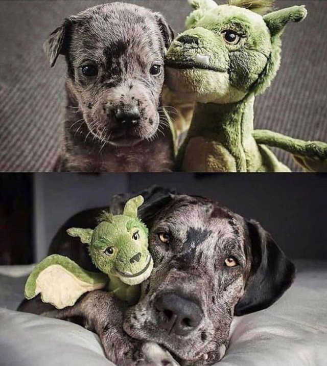 Beautiful And Interesting Photos (52 pics)