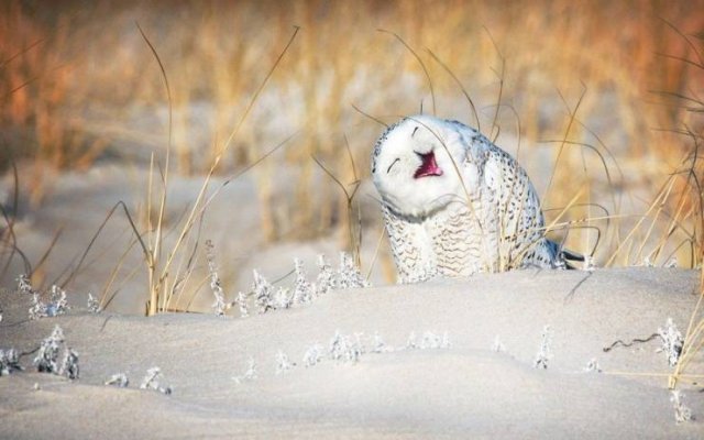 Beautiful And Interesting Photos (52 pics)