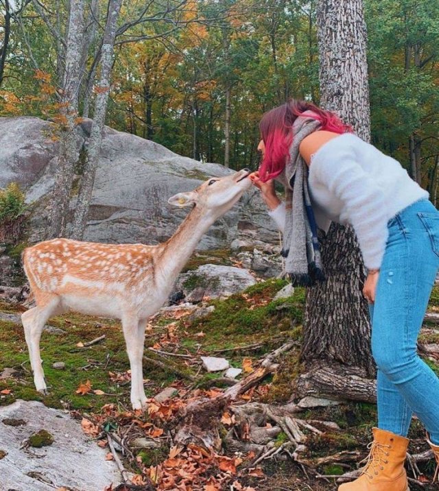 Beautiful And Interesting Photos (52 pics)