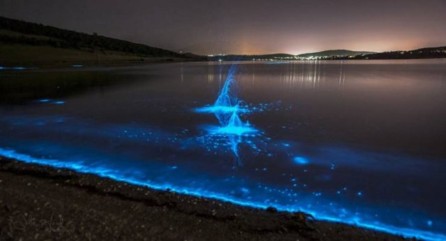 Beautiful And Interesting Photos (52 pics)