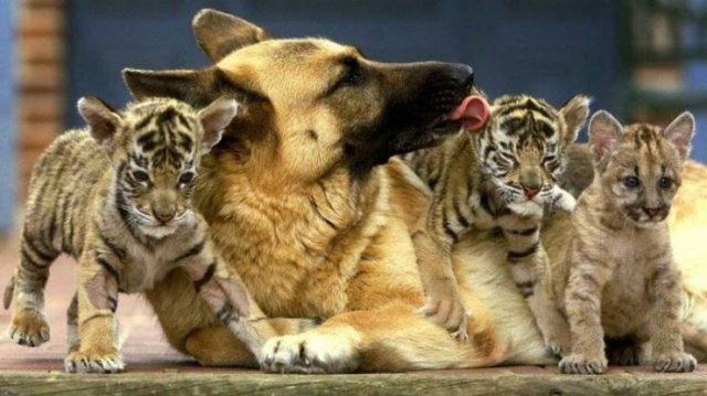 Beautiful And Interesting Photos (52 pics)