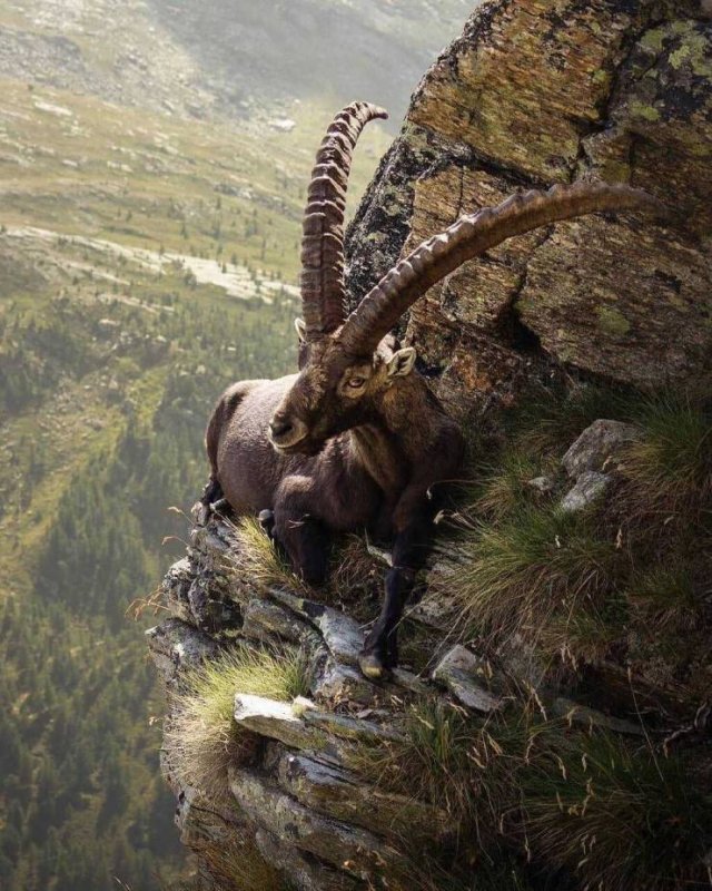 Beautiful And Interesting Photos (52 pics)