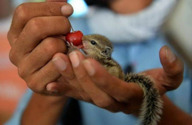 Beautiful And Interesting Photos (52 pics)