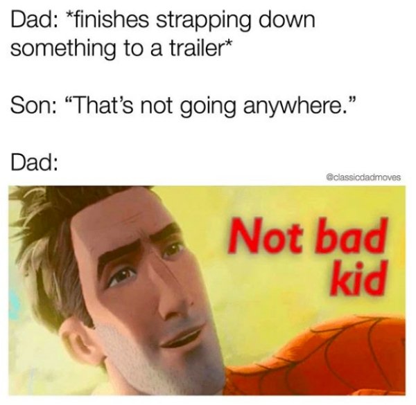 Memes About Dads (31 pics)