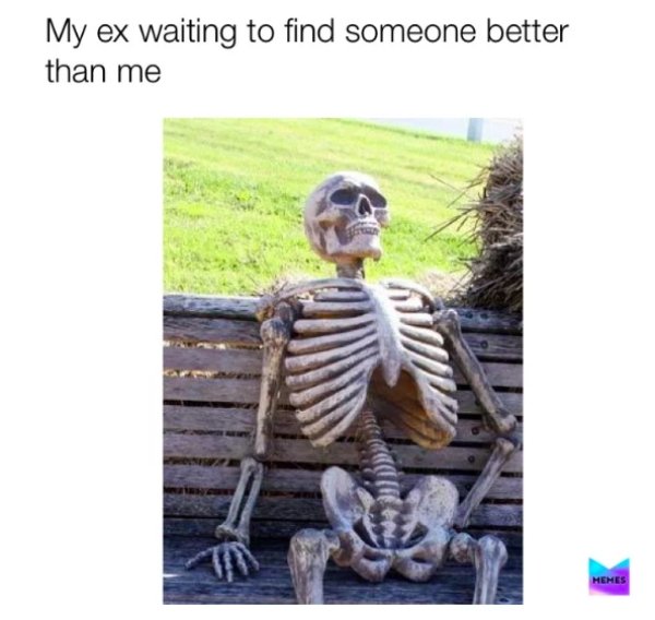 Memes About Your Ex... (30 pics)