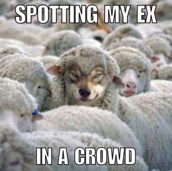 Memes About Your Ex... (30 pics)