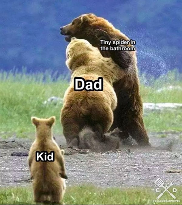 Memes About Dads (31 pics)