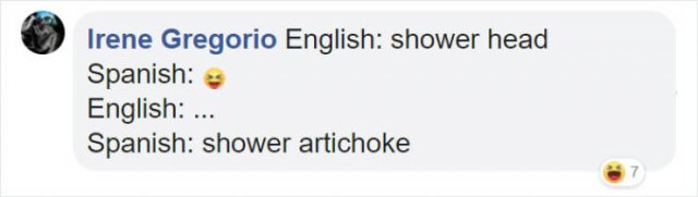 Literal Translation (31 pics)