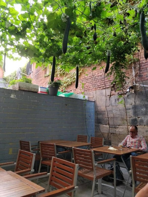 Bars And Restaurants Design Solutions (40 pics)