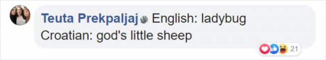 Literal Translation (31 pics)