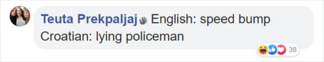 Literal Translation (31 pics)