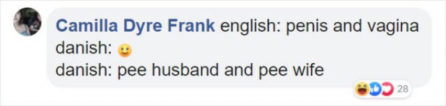 Literal Translation (31 pics)
