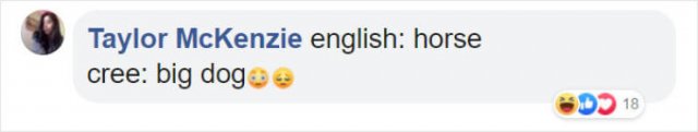Literal Translation (31 pics)