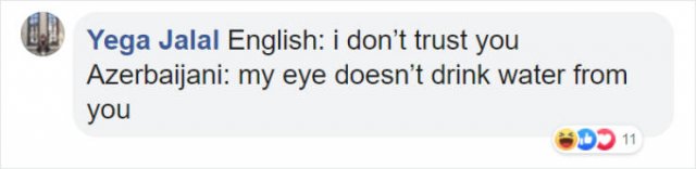 Literal Translation (31 pics)