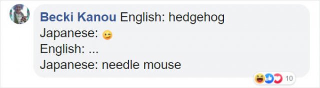 Literal Translation (31 pics)