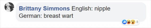 Literal Translation (31 pics)