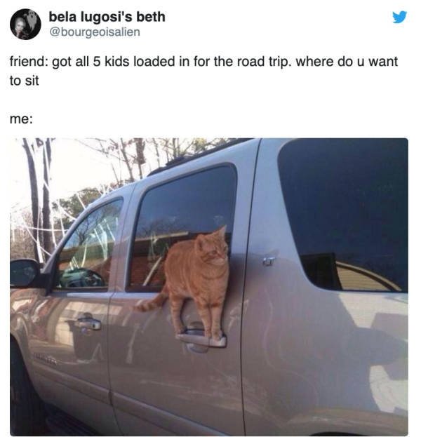 Must-Have Road Travel Stuff (29 pics)