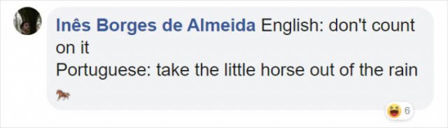Literal Translation (31 pics)