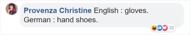 Literal Translation (31 pics)