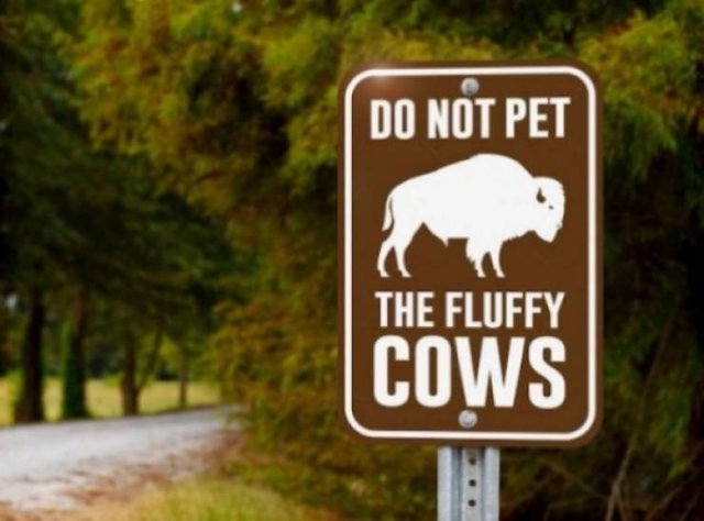 Right Signs! (32 pics)