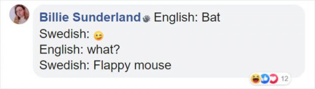 Literal Translation (31 pics)