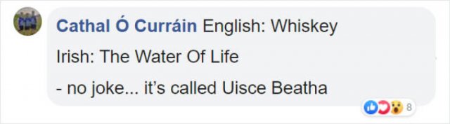 Literal Translation (31 pics)