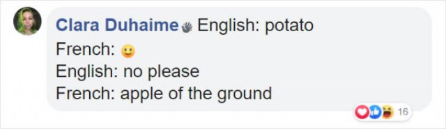 Literal Translation (31 pics)