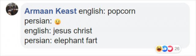 Literal Translation (31 pics)