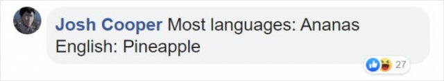 Literal Translation (31 pics)