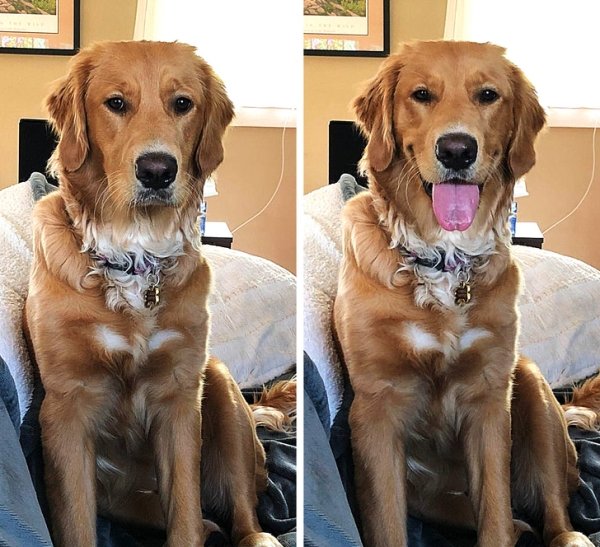 Before & After (27 pics)