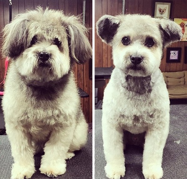 Before & After (27 pics)