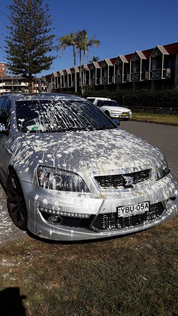 The Worst Day (30 pics)