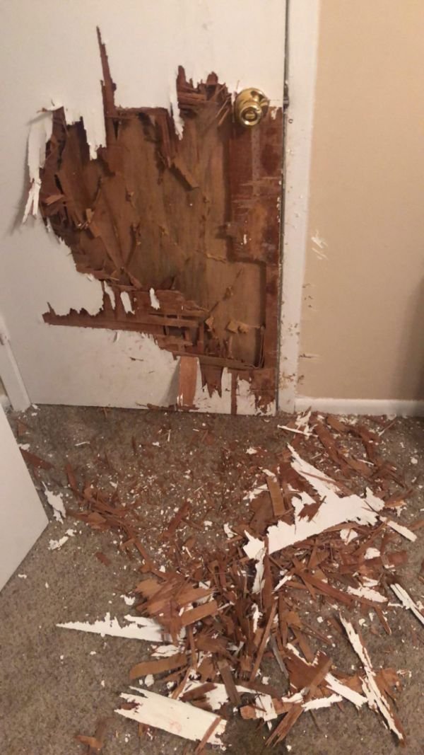 The Worst Day (30 pics)