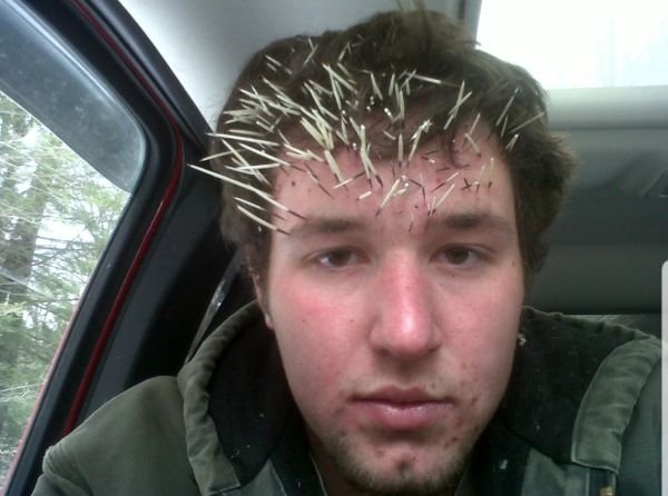 The Worst Day (30 pics)