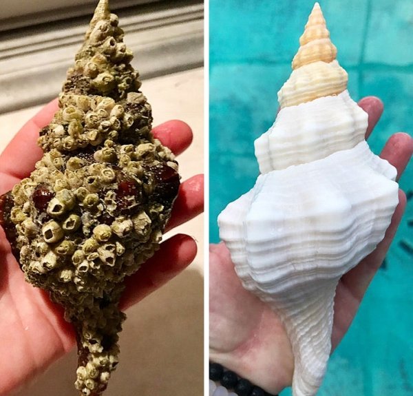 Before & After (27 pics)