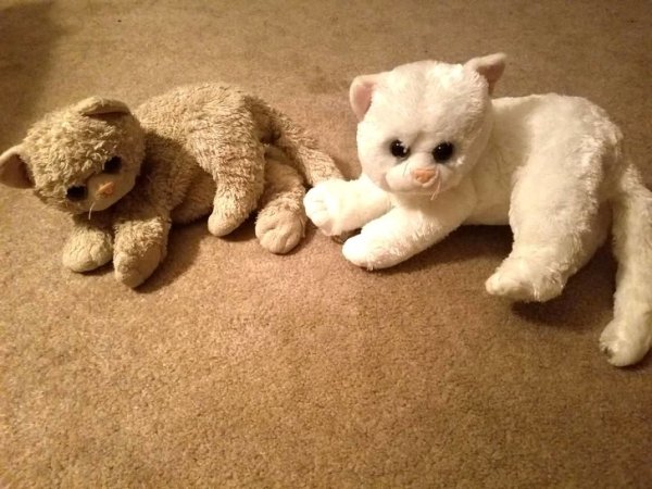 Before & After (27 pics)