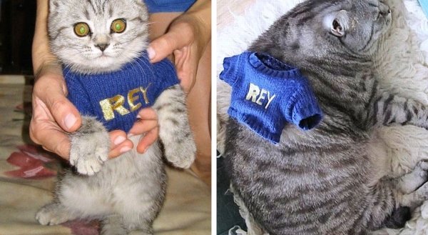 Before & After (27 pics)