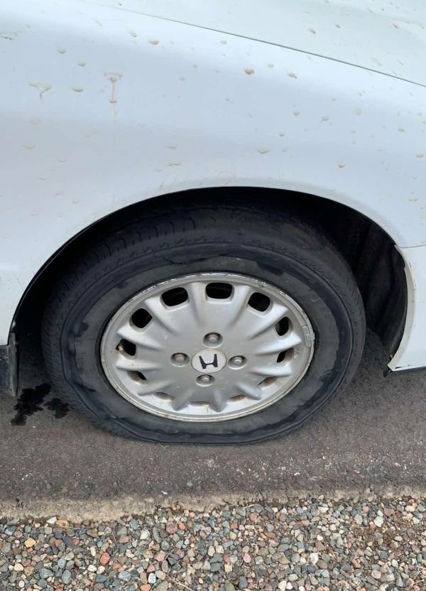 The Worst Day (30 pics)