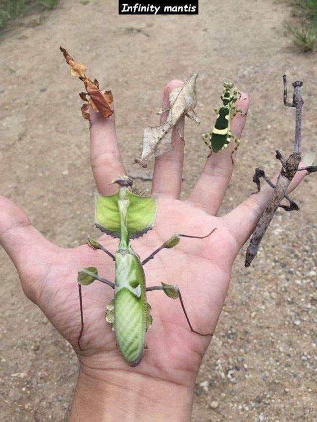 Acid Picdump. Part 1 (75 pics)