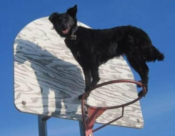 Acid Picdump. Part 1 (75 pics)
