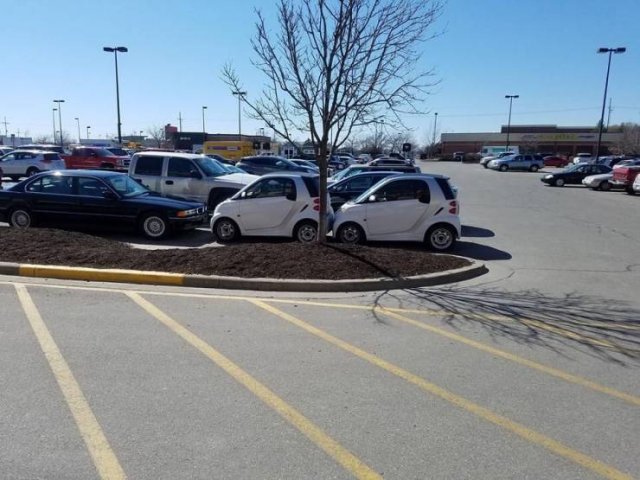 Acid Picdump. Part 2 (69 pics)