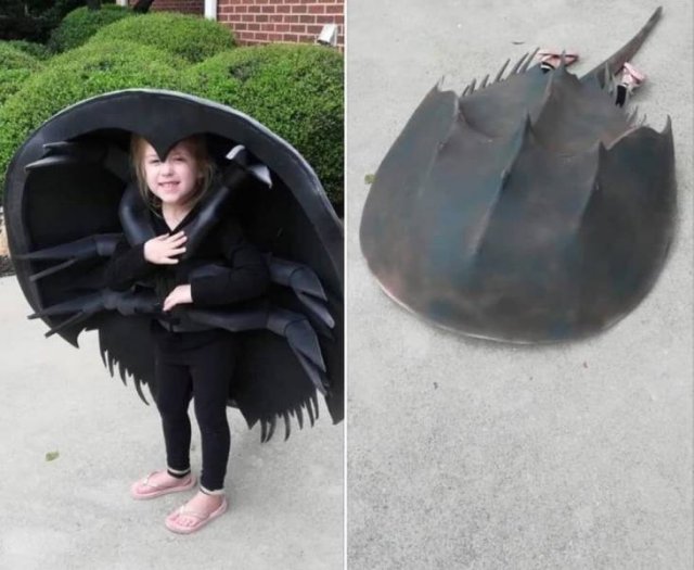 Acid Picdump. Part 2 (69 pics)
