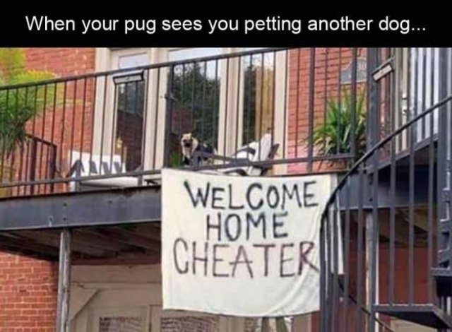 Acid Picdump. Part 2 (69 pics)