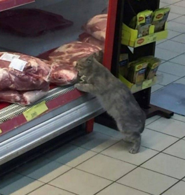 Acid Picdump. Part 1 (75 pics)