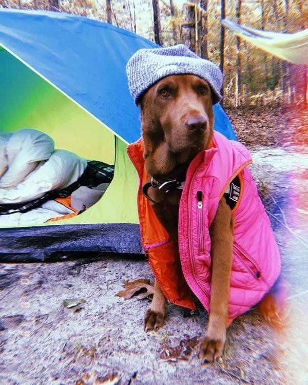 Acid Picdump. Part 1 (75 pics)