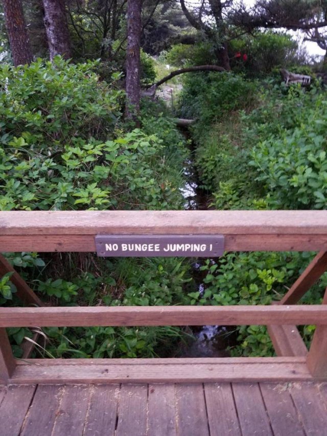 Acid Picdump. Part 1 (75 pics)