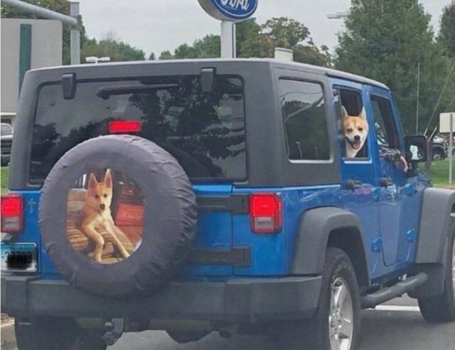 Acid Picdump. Part 1 (75 pics)